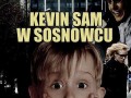 Kevin sam w sosnowcu