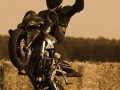 Wheelie