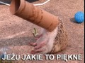 Jezu jakie to piekne