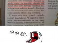 Podziały