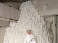 Shit storm d