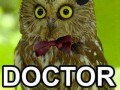 Dr hoooo