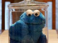 Cookie