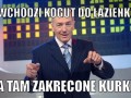 żart