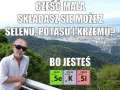 Seksi