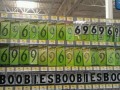Boobies 69