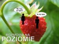 Rozmowa na poziomie