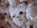 Evil popcorn