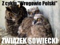 Związek sowiecki