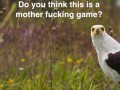 This is not game