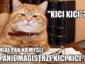 Kici kici