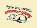 Głaszcz 3