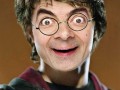 Harry fasola