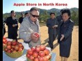Apple store in korea