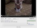Internet nalezy do polakow