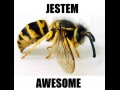 Osa jest osom