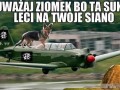 Uwazaj ziomek