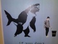 Bearshark