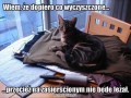 Wyczyszczone
