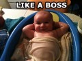 Like a boss w wannie
