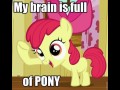 Mlp