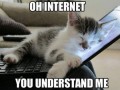 Internet mnie rozumie