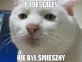 Ten link nie byl smieszny