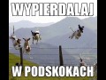 W podskokach