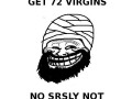 No trolling