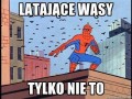 Latajace wasy