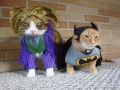 Batman i joker