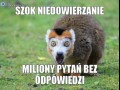 Szok