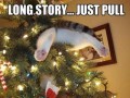 Pomocy