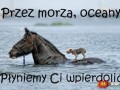 Plyniemy ci wpierdolic