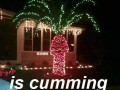Cumming