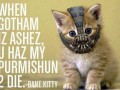 Bane kitty