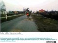 Posadzil drzewko