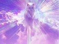 Wpisz god of the internet w google grafika