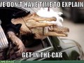 Get in the car