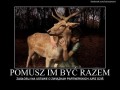 Skond wierz czy refnifę nie bendzie dobrym tatom