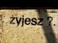 żyjesz