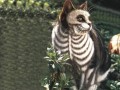 Zombie cat