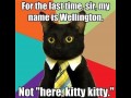 Wellington