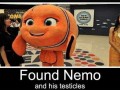 Nemo i jego jaja