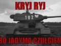 Kryj ryj