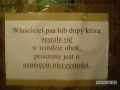 Wlasciciel dupy