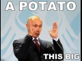 Putin znalazl ziemniaka taaakieeego