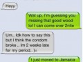 Good wood dd
