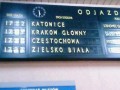 Zielsko biała