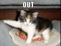 Out